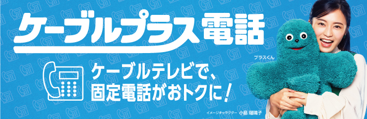 ケーブルプラス電話