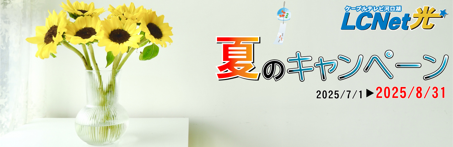 夏のキャンペーン