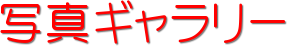 ʐ^M[