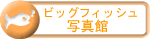 rbOtBbVʐ^