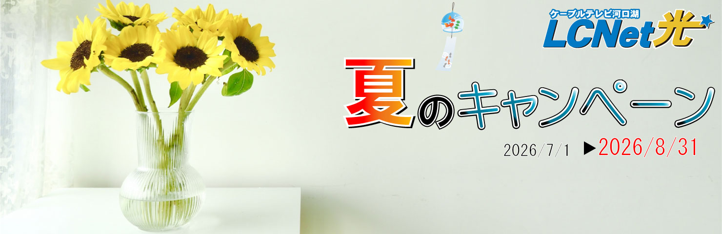 夏のキャンペーン